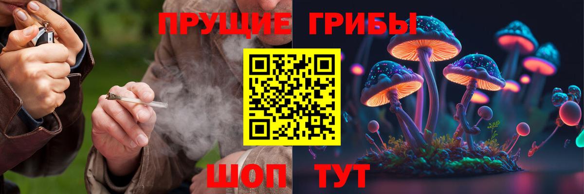 Галлюциногенные грибы прущие грибы  Вход с VPN  Улан-Удэ 